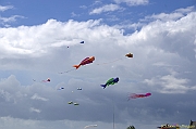 PENVINS 2012 - 0091